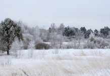 Снегопад и морозы ожидают рязанцев в воскресенье