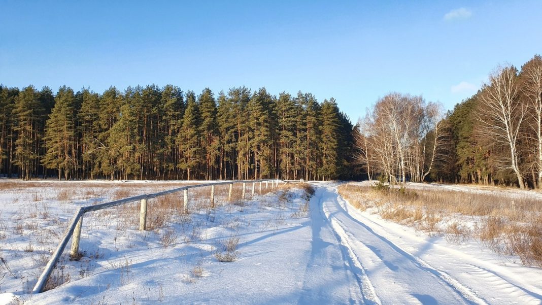 погода зима