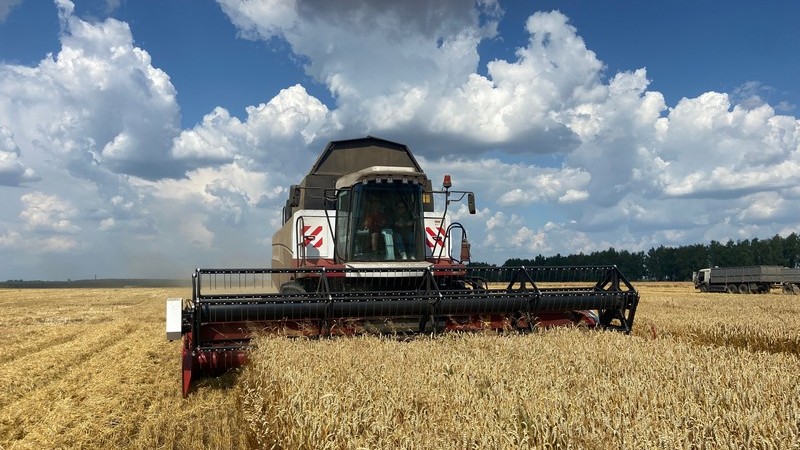 урожай зерновых комбайн