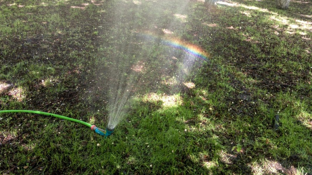 zhara-shlang-gazon-raduga-pressa-26.05.2025