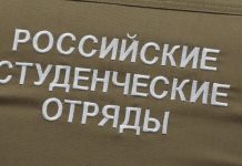В Рязанской области трудоустроили 757 человек в 2025 году благодаря студотрядам