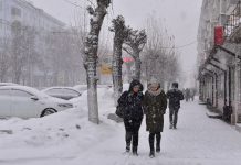 Днем 16 февраля в Рязанской области пройдет сильный снег