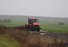 В Рязанской области зарплата в сельском хозяйстве впервые превысила среднюю заработную плату в регионе